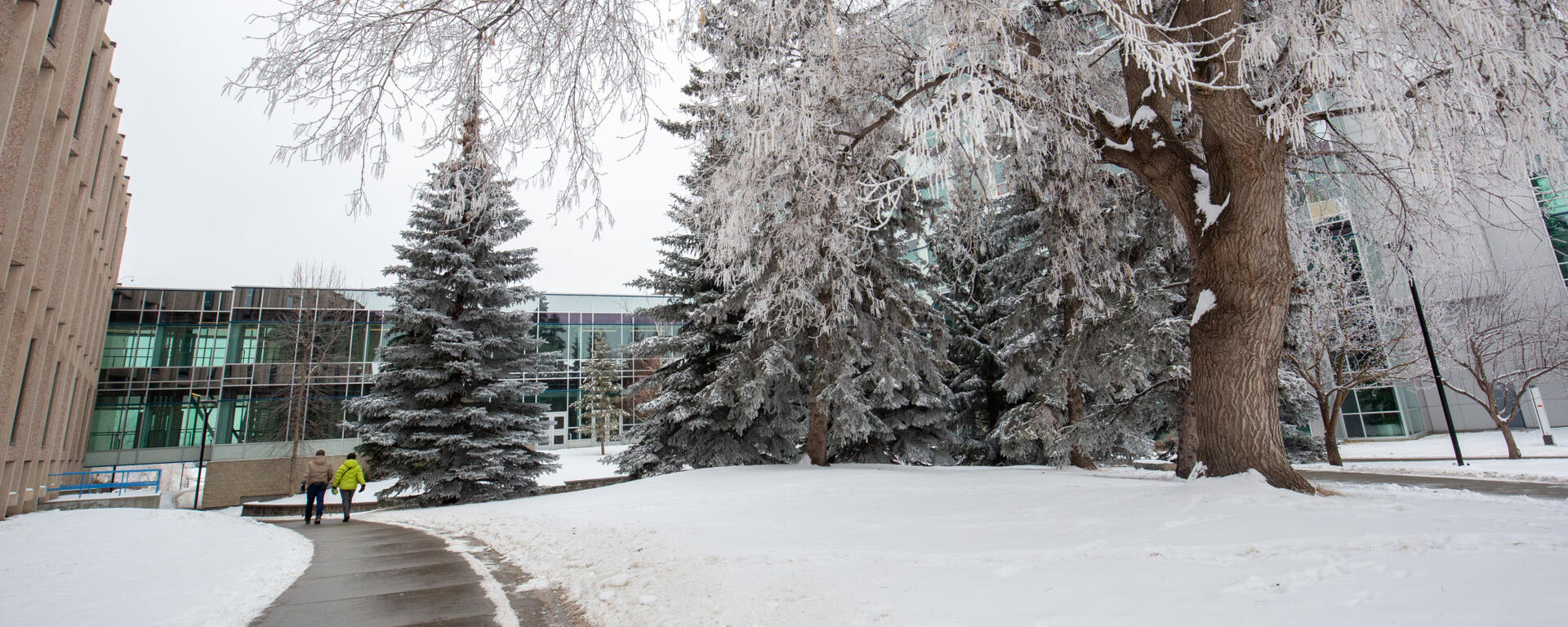 snowy walkway on main campus in between Engineering and ICT