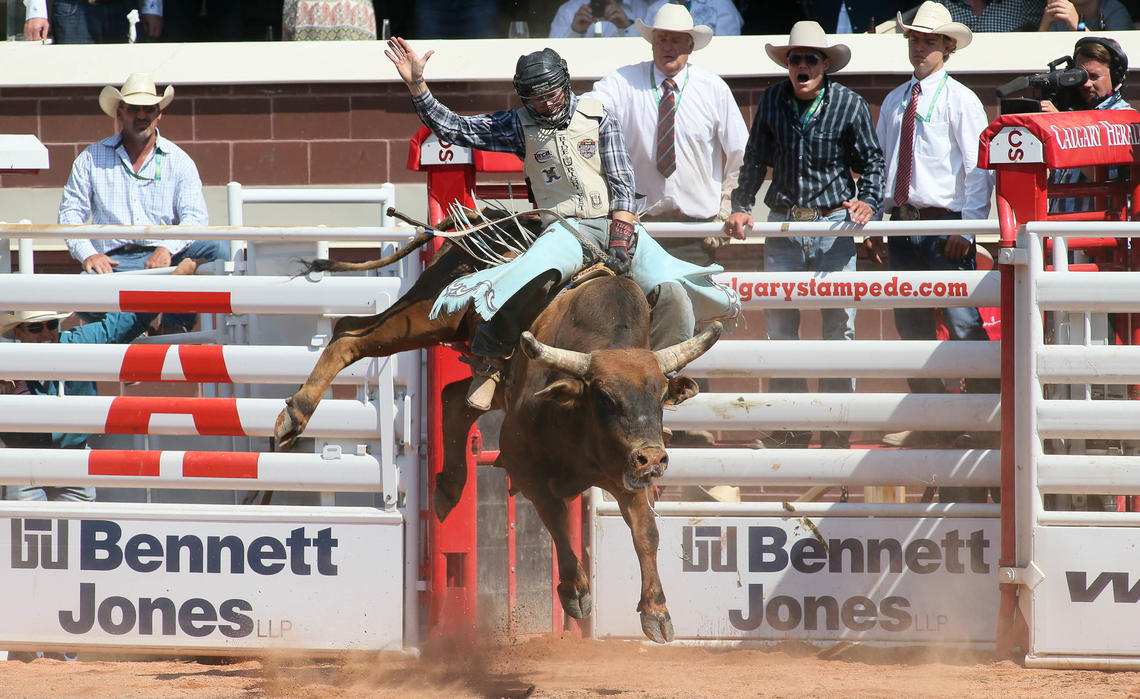 A cowboy gets a bumpy ride aboard a bull at the 2015 edition of the Calgary Stampede.