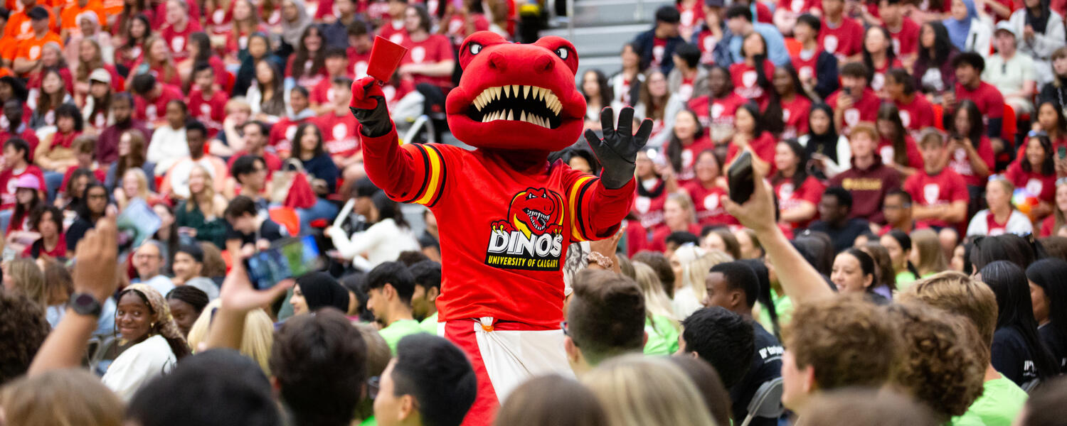 New undergraduate students attend Fall 2025 Orientation