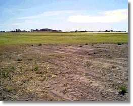Remediation - Hydrophobic soil near Devon, Alberta