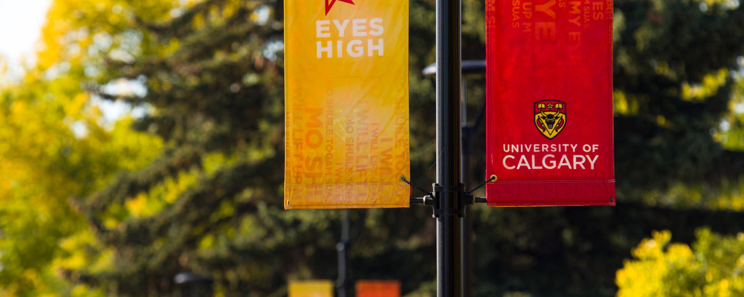 Ucalgary banner