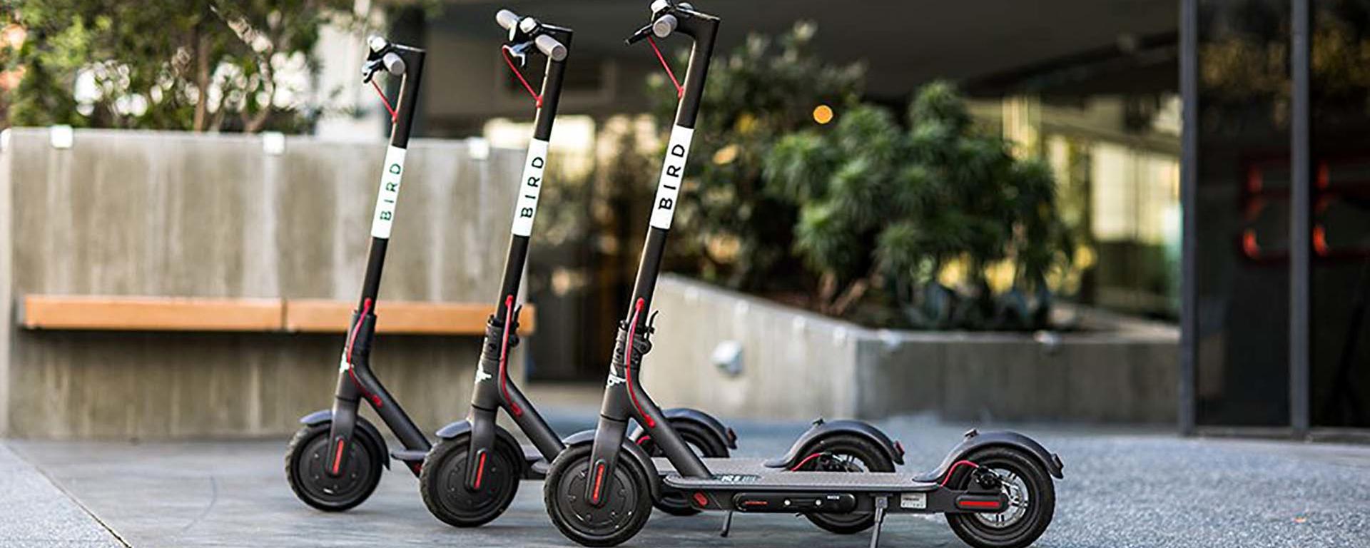 Bird e-scootters