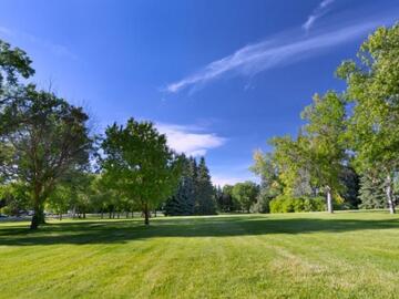 Green spaces