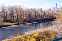 Bow River (78KB)