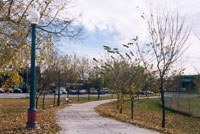 Path to Community Centre (77KB)