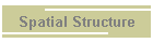 Spatial Structure