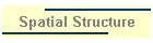Spatial Structure