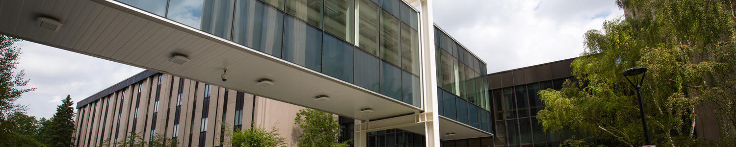 Terms and Conditions