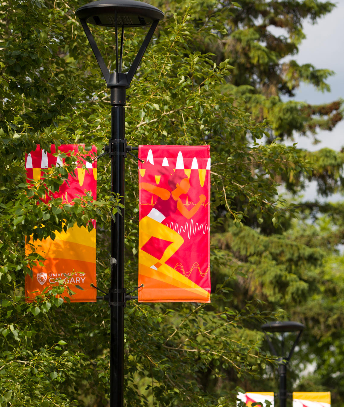 University of Calgary 