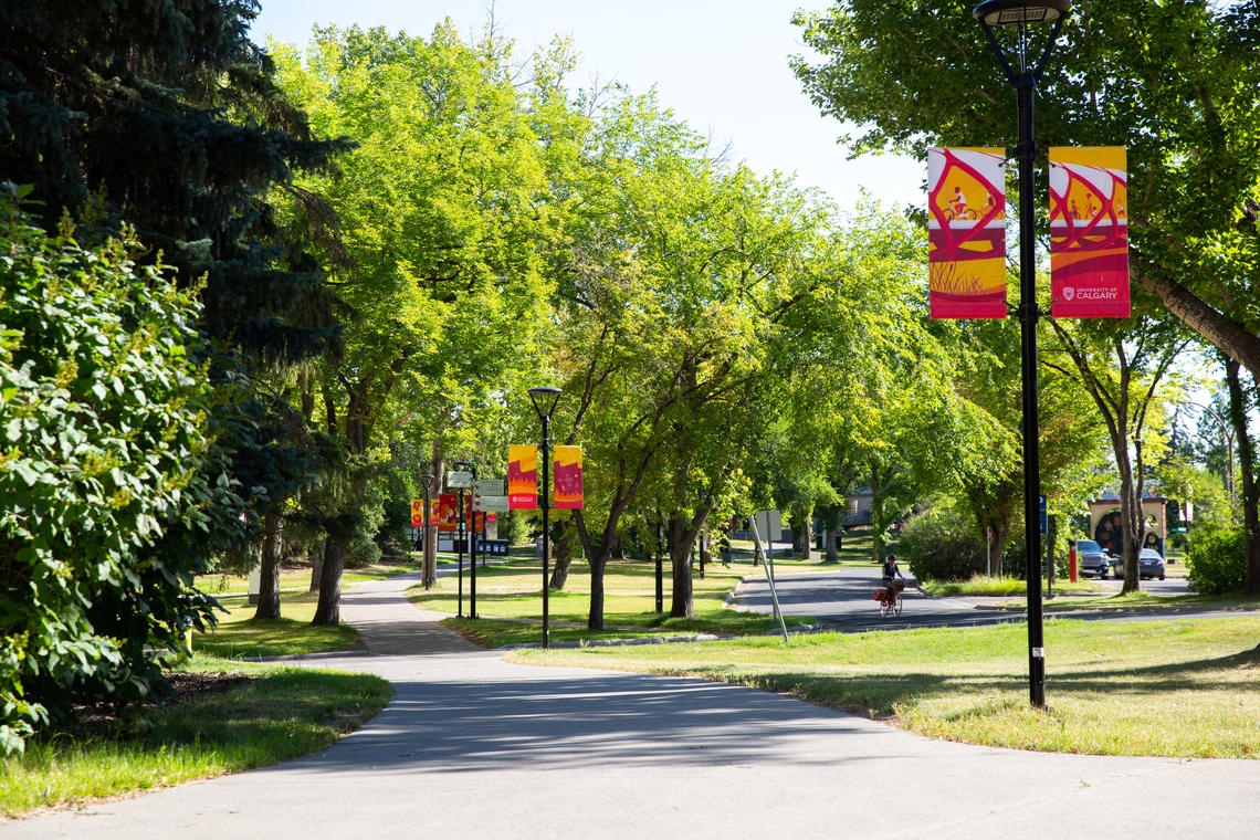 UCalgary UCalgary