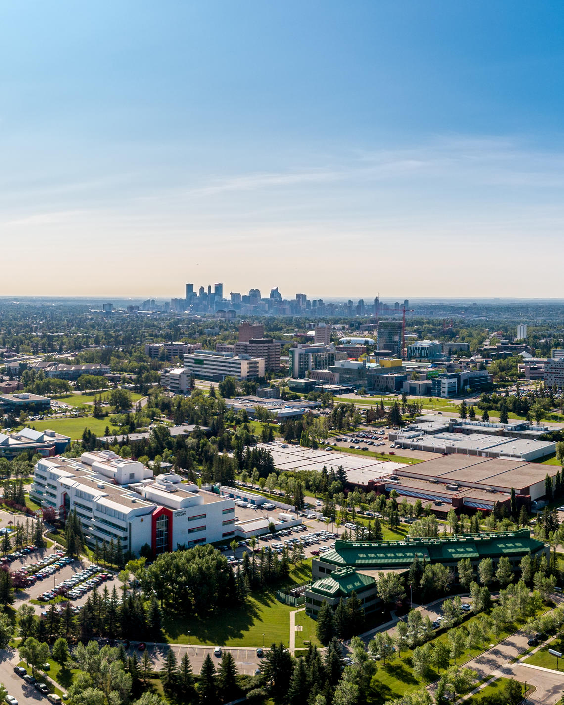 University of Calgary University of Calgary