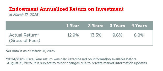 Endowment Annualized Return on Investment