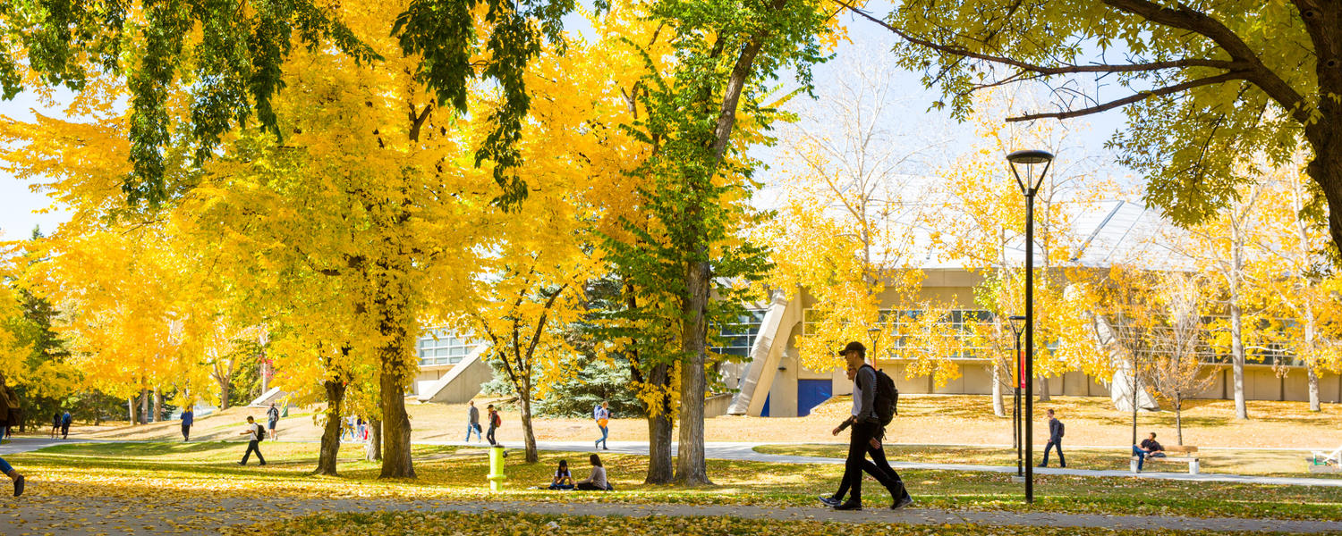Autumn on campus