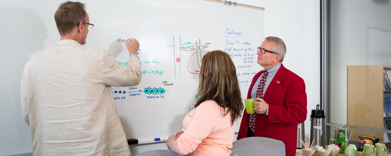 Image of colleagues collaborating  