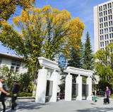 Image of UCalgary campus