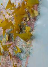 Pins on a map