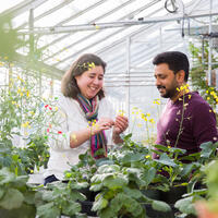 Researchers in the UCalgay greenhouse