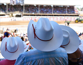 Calgary white hats