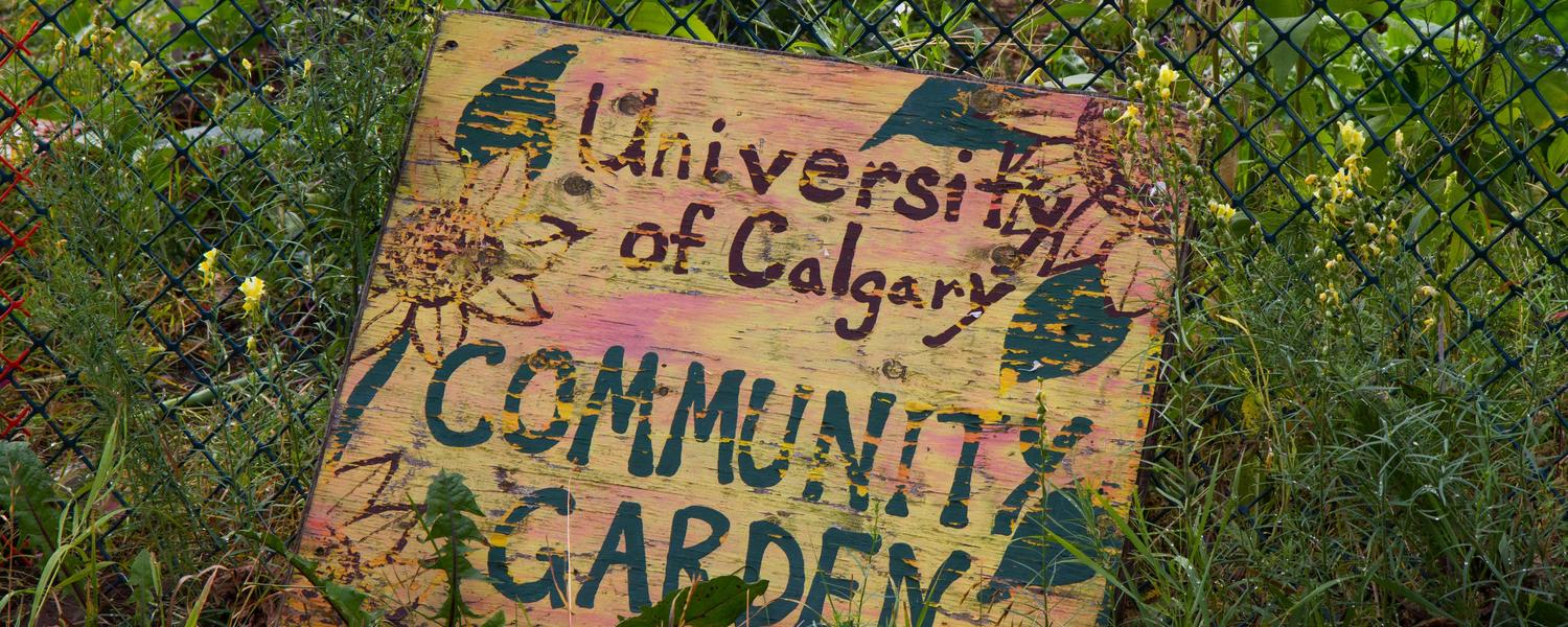 Campus Community Garden