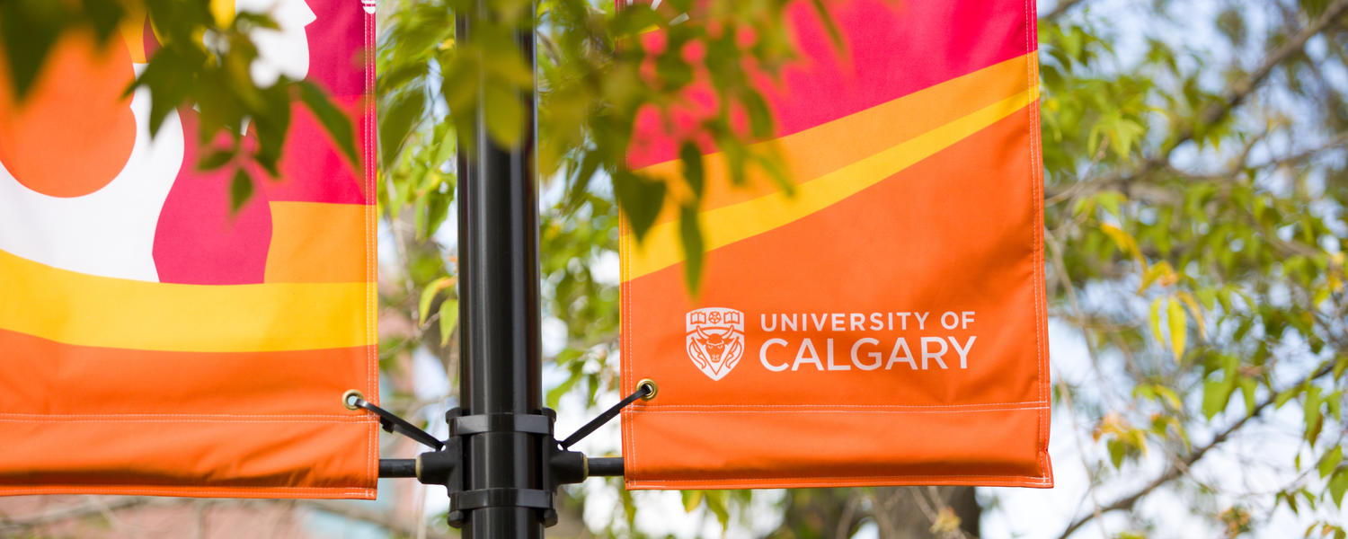 University of Calgary Banner