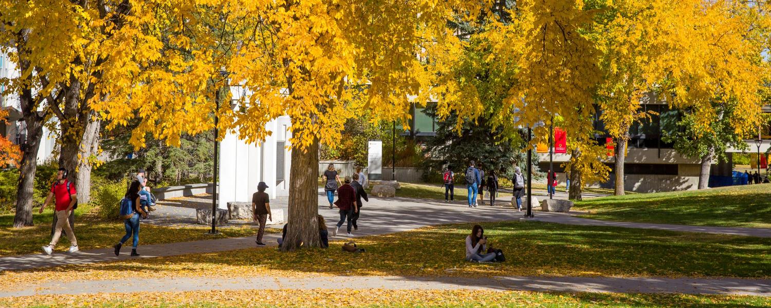 University of Calgary Fall season