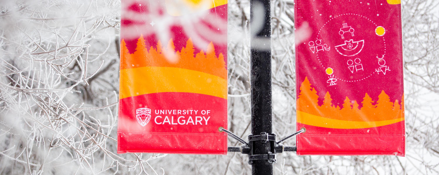 University of Calgary Banner