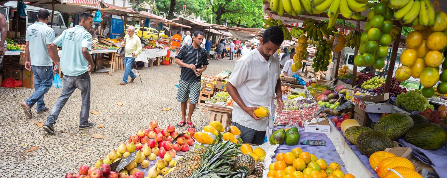  RIO DE JANEIRO - NOVEMBER 3 2015 Shoppers browse the stalls of fruit at the local farmers market in General Osorio Plaza, Stock image