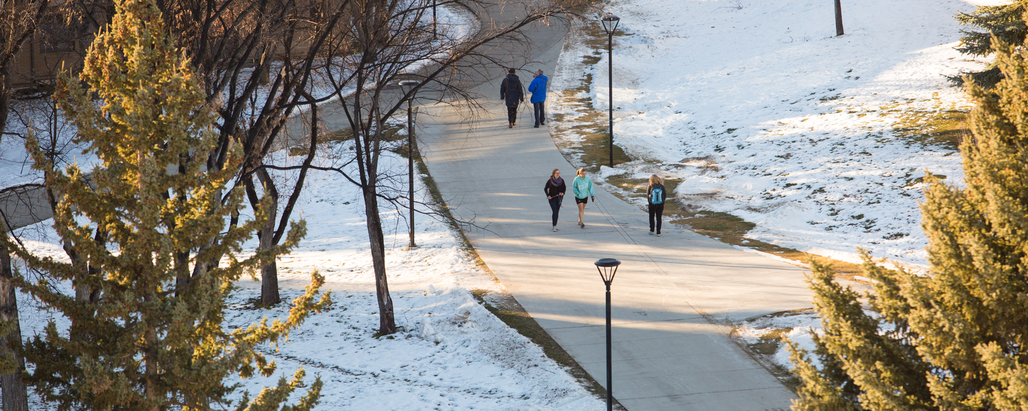 pathway on main campus during winter