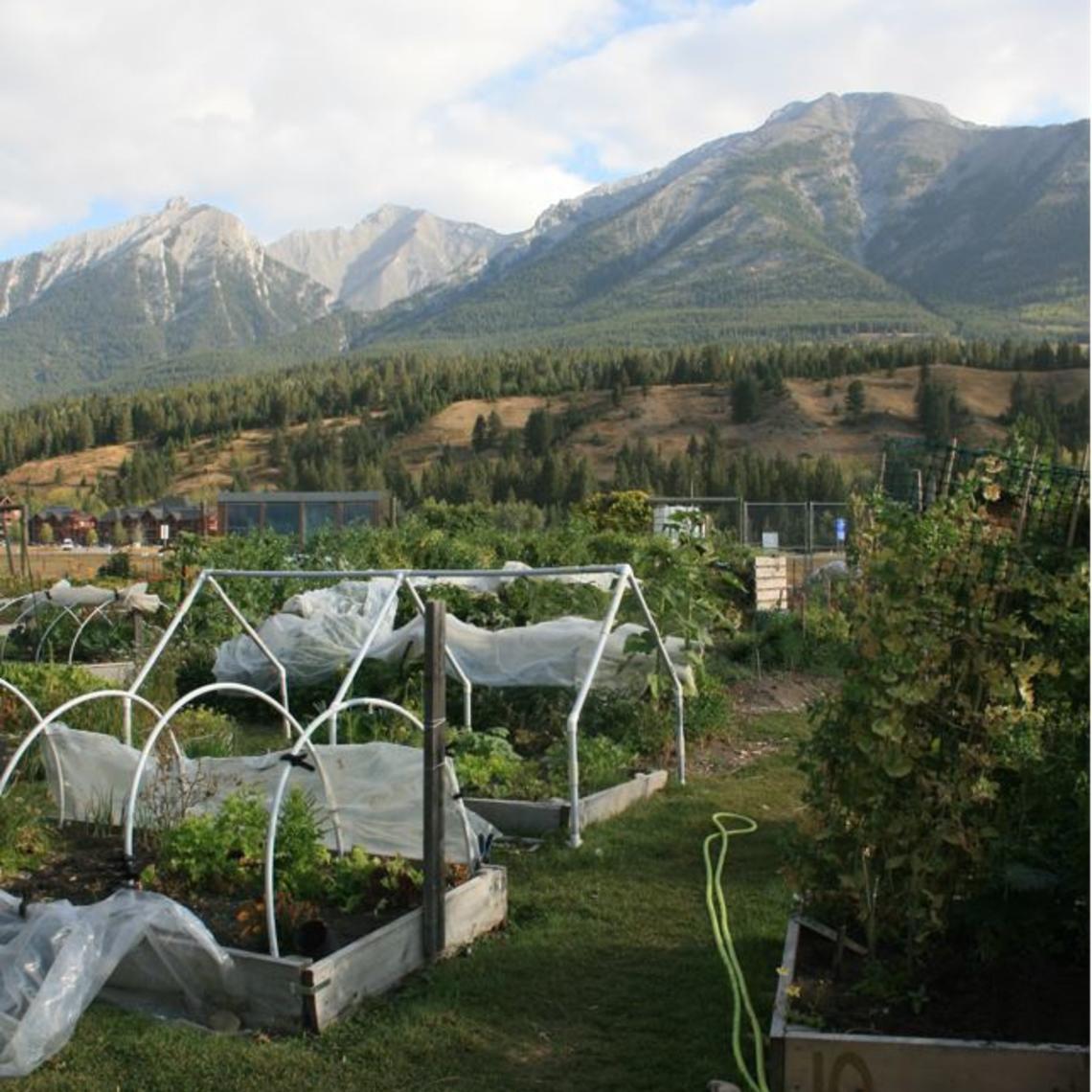 Community garden with mountains in the background