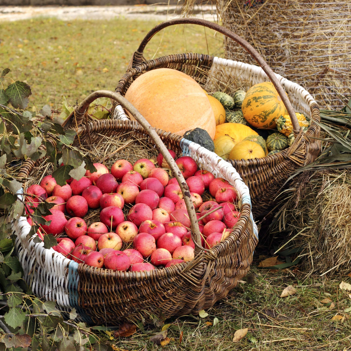 Two woven baskets, one filled with small red apples, the other with various colourful squash