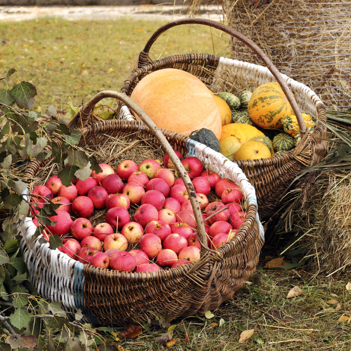 two baskets of fruit and vegetables set on top of fall grass