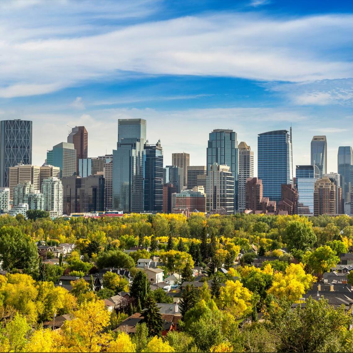 Landscape photo graph of Downtown Calgary. Green trees in foreground, sky-scraper buildings and a blue sky.
