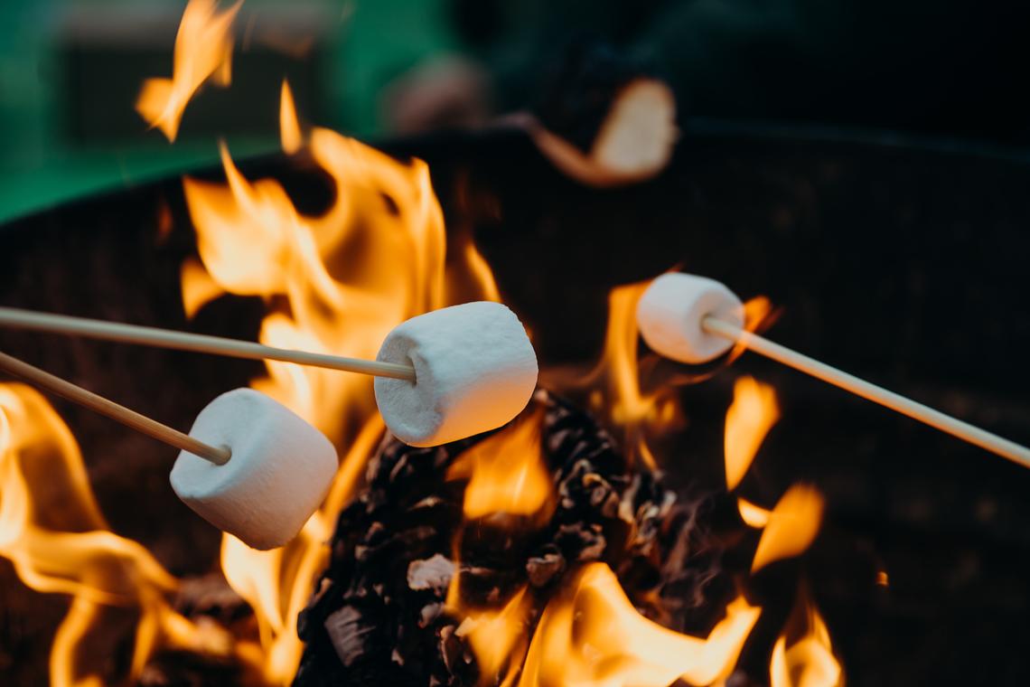 Marshmellows roasting at campfire