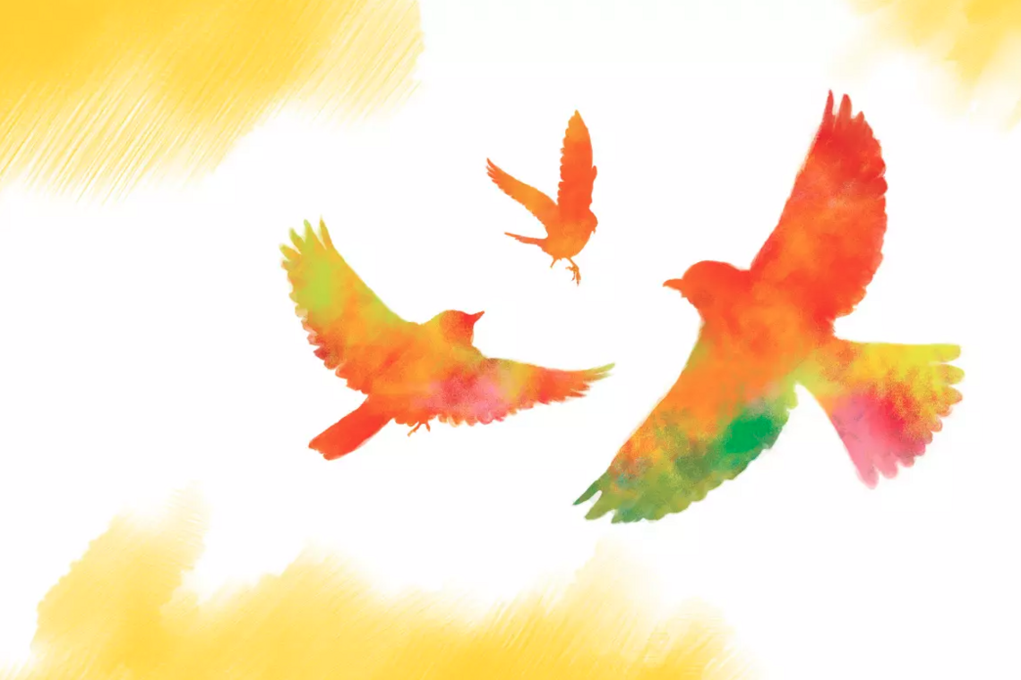 Sexual Violence graphic with illustrated doves