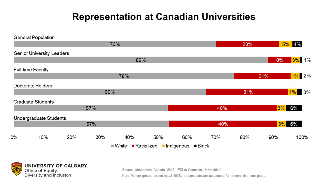 Representation at Canadian Universities