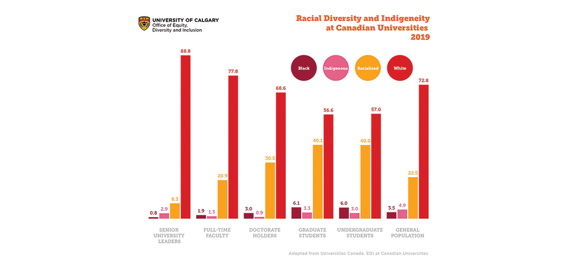 Racialized and Indigenous Representation at Canadian Universities, 2019