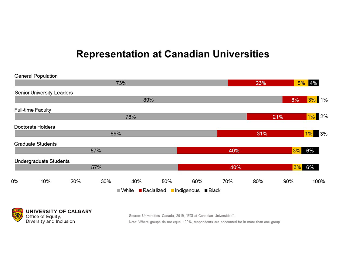 Representation at Canadian Universities