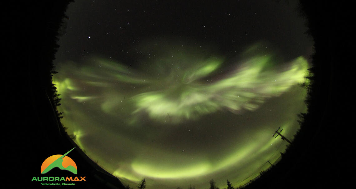 A photo of the aurora borealis lights