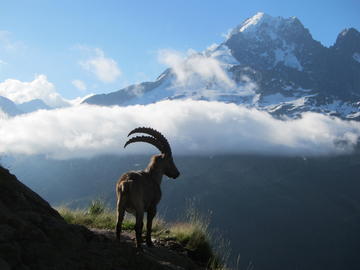 Tour do Mont Blanc Hiking Trip