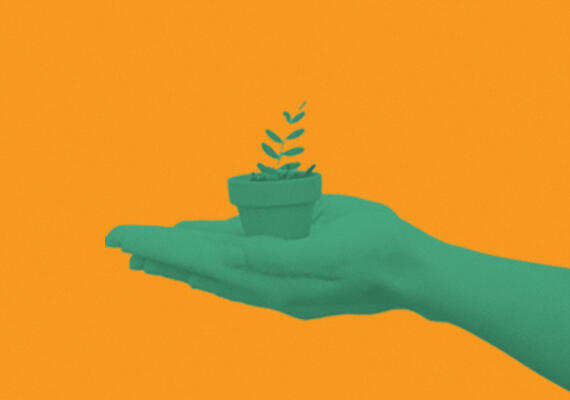Hand holding a plant pot on an orange background