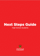 Next Steps Guide for high school students 