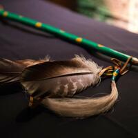 Feather UCalgary (UCalgary ii' taa'poh'to'p Indigenous Strategy)