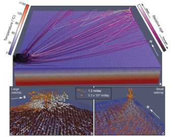 3D models of hydrothermal circulation through a network of seamounts