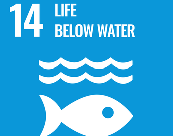 Goal 14: Life Below Water