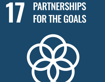 Goal 17: Partnerships