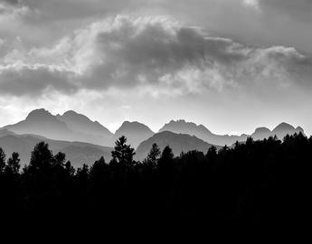 Black and white mountains and trees