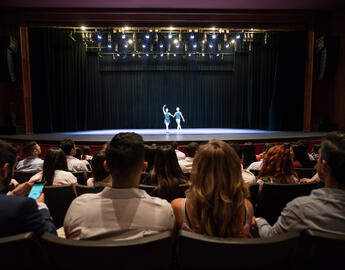 An audience in a theatre watching a ballet performance.