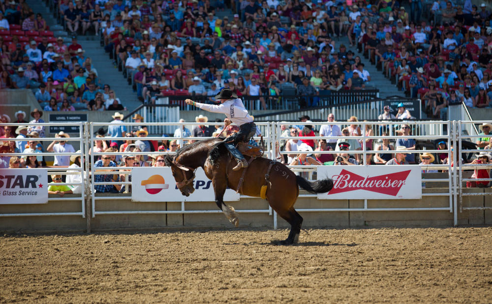 Dust off your boots and get your discounted tickets to this year's Calgary Stampede. Tickets are available at the discounted price from May 14 until June 29.