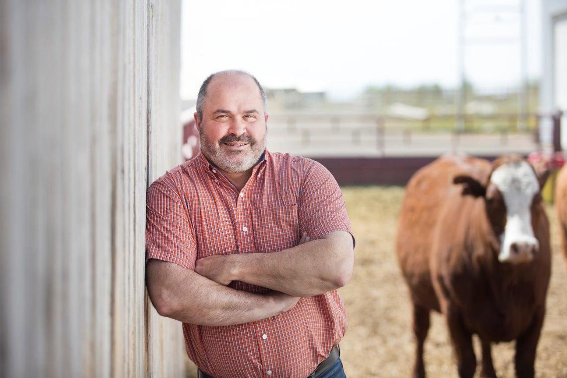 Ed Pajor, Anderson-Chisholm Chair in Animal Care and Welfare, is the director of W.A. Ranches, in charge of academic and research programming. 