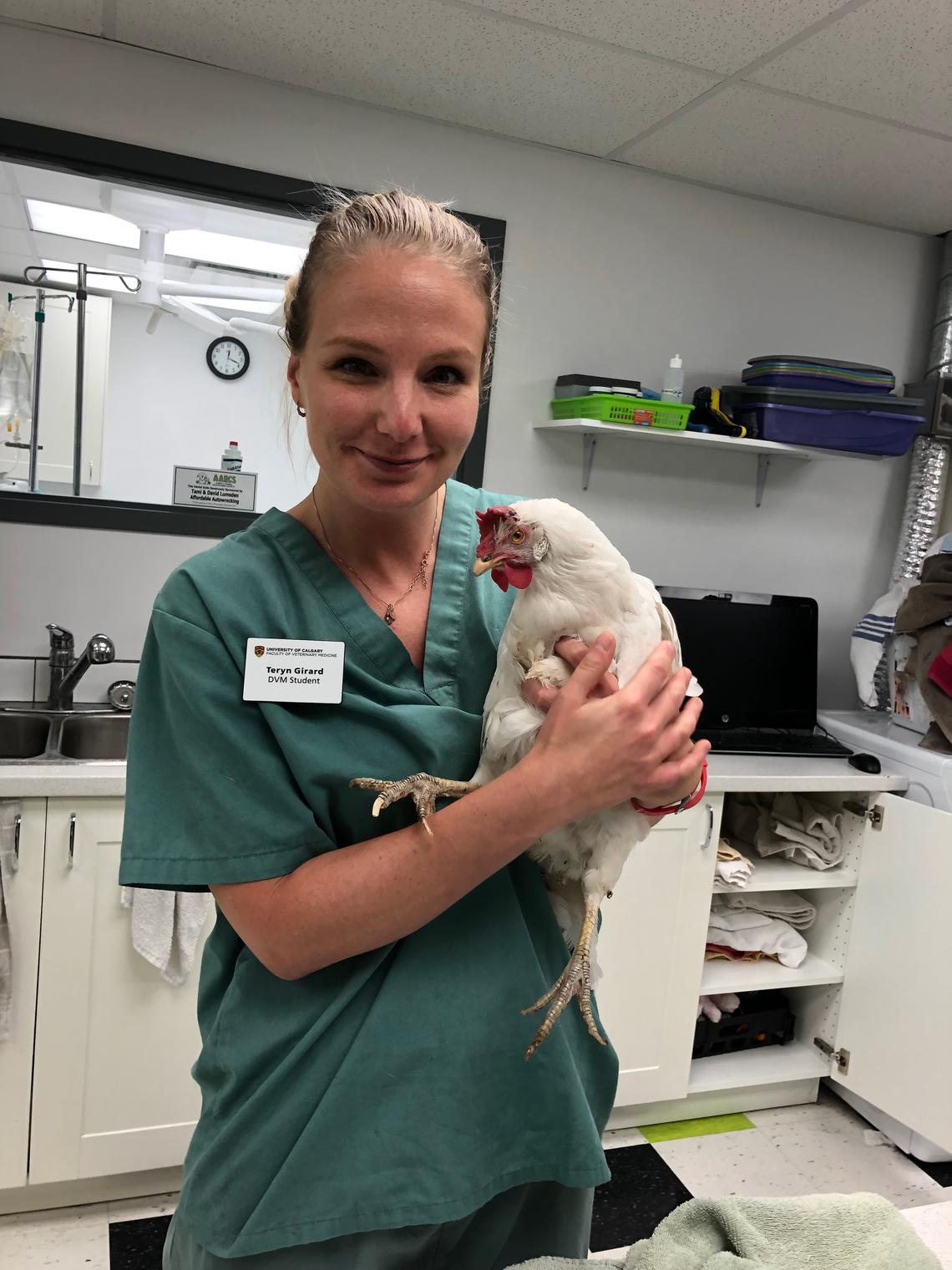 Teryn Girard, UCVM Class of 2019, says chickens are smart and fun and they make her smile.